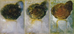 Dicrola - Fournaise - 2003 - jet d’encre sur toile - 89 x 200 cm - Collection privée - Bruxelles