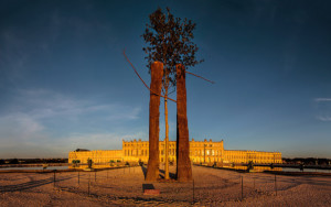 Penone Giuseppe, Entre écorce et écorce, au soleil couchant, Esplanade du Château de Versailles