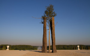 Penone Giuseppe, Entre écorce et écorce, Bronze, Chêne, Esplanade du Château de Versailles