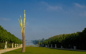 Penone Giuseppe, Arbre foudroyé, Tapis Vert du Petit Parc du Château de Versailles