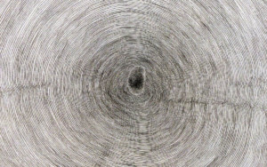 Penone - Propagation - 1994-96 - Crayon feutre sur papier et sur mur, métal, eau, dessin au crayon-feutre sur papier, plexiglass - Collection particulière.