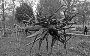 Penone Giuseppe, L'Arbre des voyelles, 1999