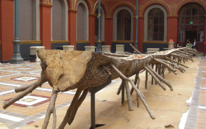 Penone Giuseppe - Matrice de Sèves - Beaux-Art de Paris
