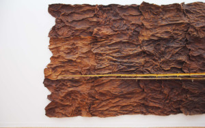 Giuseppe Penone, Écrin, 2007 - Cuir, bronze, or, résine végétale