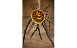 Penone Giuseppe - Espace de lumière - 2013