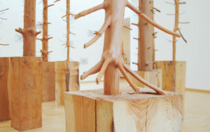 Penone Giuseppe, Arbres, 2003, musée de Grenoble