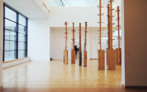 Penone Giuseppe - Arbres - 2003 - musée de Grenoble