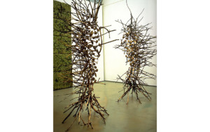 Penone Giuseppe, Peau de feuille, 2000
