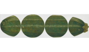 René Wirths - Zucchini - 80 x 300 - 2014